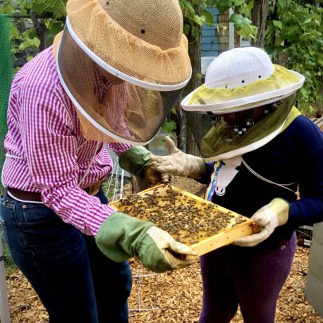 visitors to the apiary inspecting a frame of bees